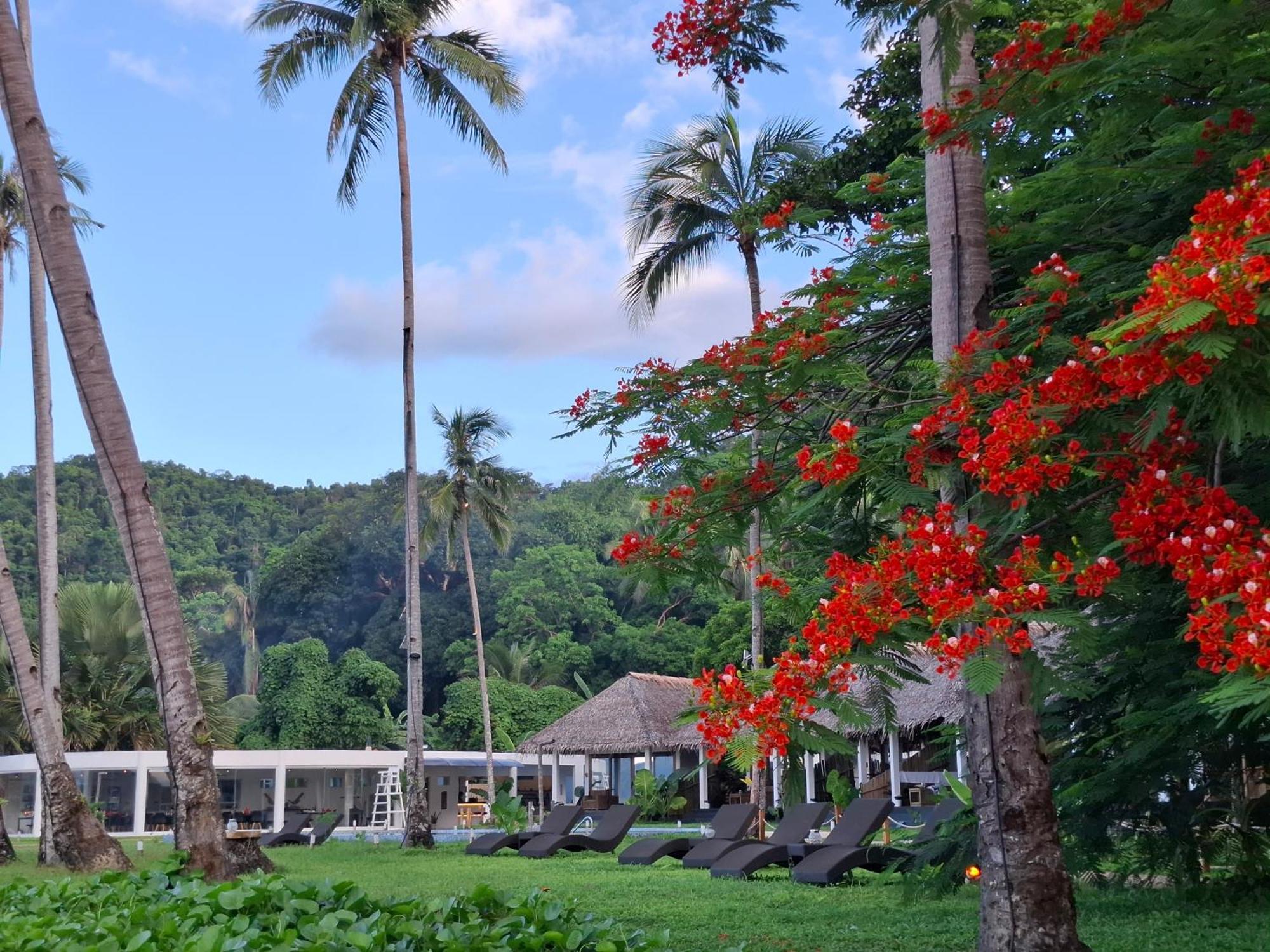 Bebeladan Beach Resort, In The Last Indigenous Corner Эль-Нидо Экстерьер фото